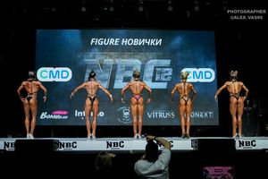 FIGURE НОВИЧКИ